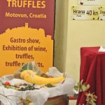 Motovun - Festival of Teran wine and truffles