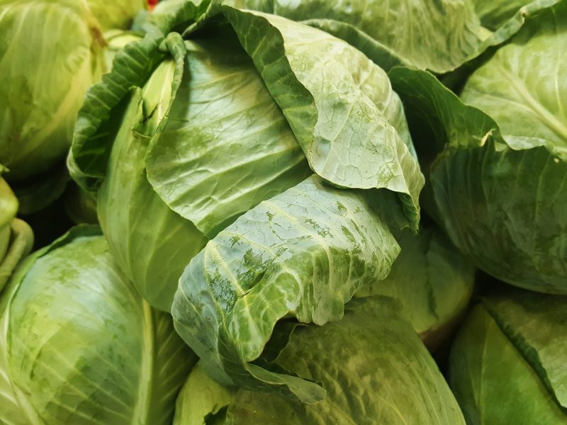 Green cabbages