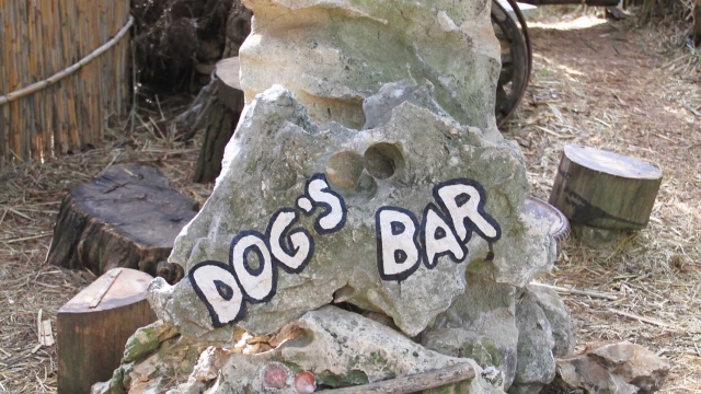 photo ©EMRE d.o.o. Honden water bar, Premantura in Istrie, Kroatie