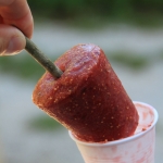 photo ©EMRE d.o.o. Home-made fig icecream, island Cres, Croatia
