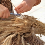 photo ©EMRE d.o.o. Porcijunkolovo 2016, Cakovec Croatia