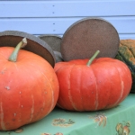 photo ©EMRE d.o.o. Pumpkins - Spancirfest 2016, Varazdin in Croatia