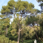 photo ©EMRE d.o.o. National Park Brijuni, Croatia