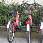 photo ©EMRE d.o.o. Cycling in National Park Brijuni, Croatia