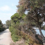 photo ©EMRE d.o.o. National Park Brijuni, Croatia