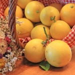 photo ©EMRE d.o.o. Lemons from Neretva delta near Dubrovnik
