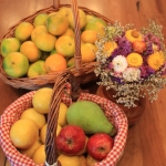 photo ©EMRE d.o.o. Fruit from Croatia