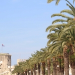 Trogire, promenade with palm trees