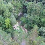 photo ©EMRE d.o.o. The river Pazinčica that leads to the underground cave