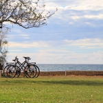 Cycling along the coast