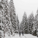 winter hiking in Gorski Kotar