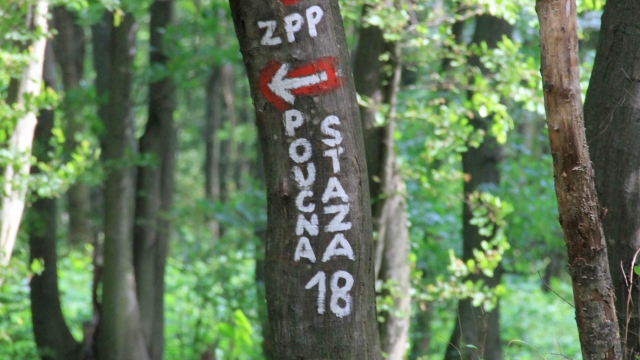 Educational trail signs Poucna Staza 18 (PS18) around Kalnik