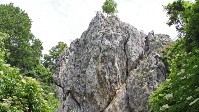 Starts of seven teeth rock climbing trail, Kalnik Croatia